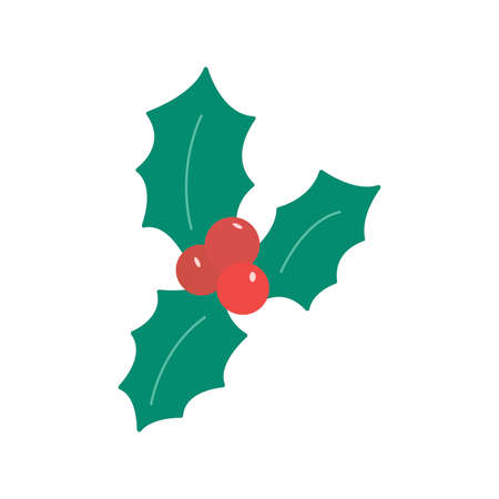 Holly leaves with berries. Christmas and New Year symbol. Colorful vector illustration hand drawn isolated icon cardのイラスト素材