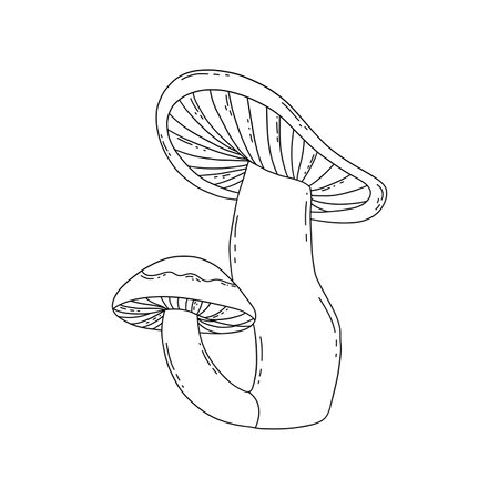 Two forest mushrooms in one, big and small. Vector black and white isolated illustration hand drawn doodle. simple card or printのイラスト素材