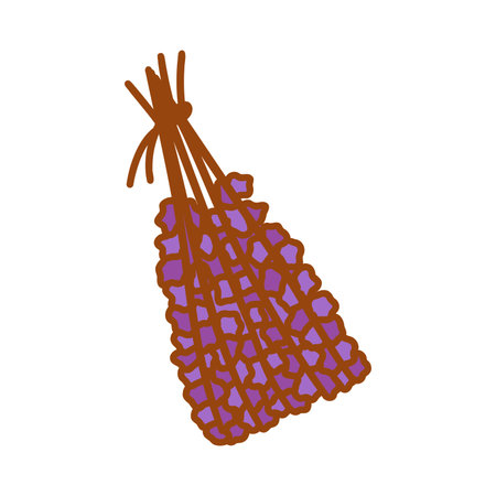 Bunch of purple dried lavender. Fragrant herb with beautiful flowers. Calming properties, healing plant. Colorful vector isolated illustration hand drawn doodle. Aromatherapyのイラスト素材
