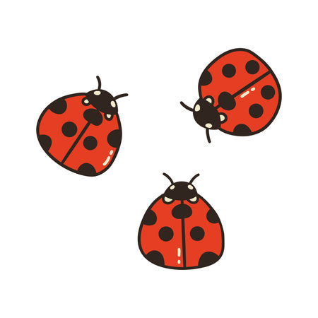 Three ladybugs. Cute red insects with black polka dots. Spring and summer season. Colorful vector isolated illustration hand drawn doodleのイラスト素材