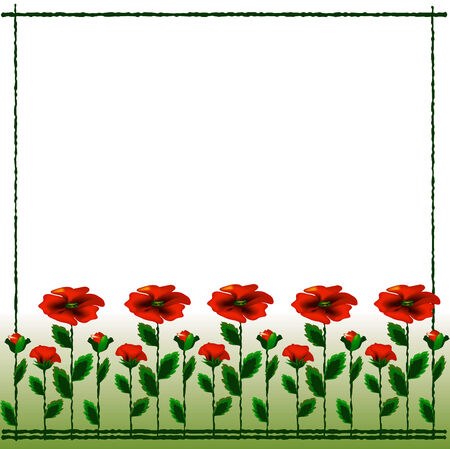 Frame with poppies.のイラスト素材