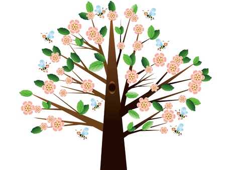 Cherry treeのイラスト素材