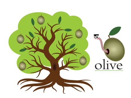 Olive treeのイラスト素材