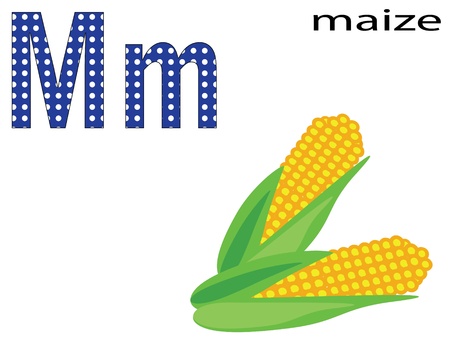 Children alphabet,Mのイラスト素材