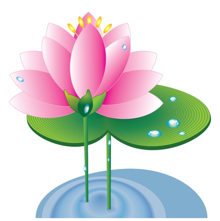 	Lotusのイラスト素材