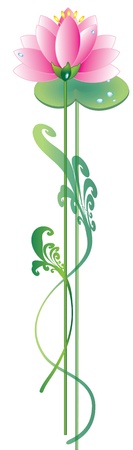 	Lotusのイラスト素材