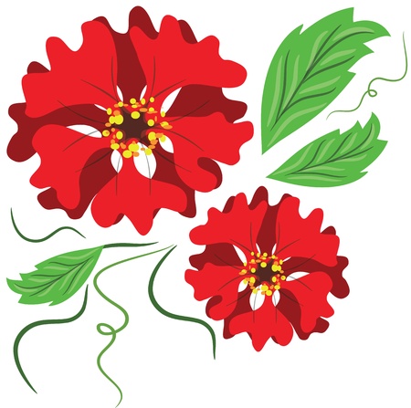 Red flowersのイラスト素材