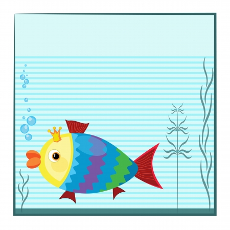 Square aquarium のイラスト素材