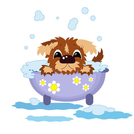 Puppy in the bath   のイラスト素材