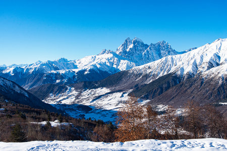 Beautiful sceneric view of Caucasus mountain. The way to mountain with pine forest covered with snow in winter season at Mestia Georgiaの写真素材