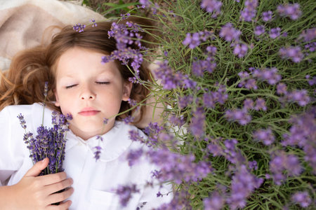 cute girl playing with a bouquet of lavender in a blooming field. Sunset. Attractive young female outdoors.の写真素材