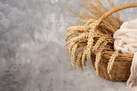 yellow ears in a wicker basket on a gray backgroundの写真素材