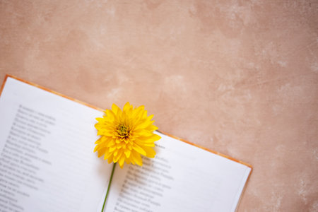 open book on a beige background with a flower bookmark