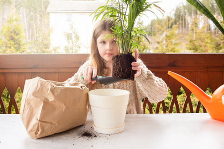 Girl planting seeds for seedlings in small recyclable peat pots, seedling container. Children learn to grow vegetables at home or in the garden.の写真素材