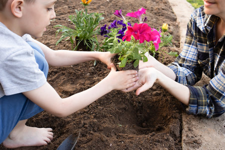 mother and son take care of plants in the garden. the family is gardening outdoors in the garden. hobby gardening. concept of learning and care.の写真素材