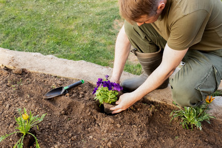 male hands plant a beautiful plant in the garden. caring for plants. copyspace. earthy background. hobby gardening.の写真素材