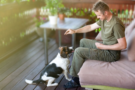 a man is playing with a dog. the owner takes care of the dog. walking with a pet.の写真素材