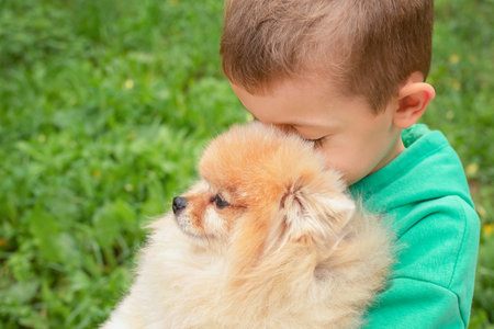 A close-up portrait of a boy against a green background who is tenderly hugging a Spitz puppy on the street. birthday gift. taking care of pets. happy children. friendship between man and animal.の写真素材