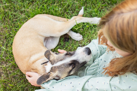 A girl strokes a light short-haired dog sitting on a green lawn. friendship between man and animal.の写真素材