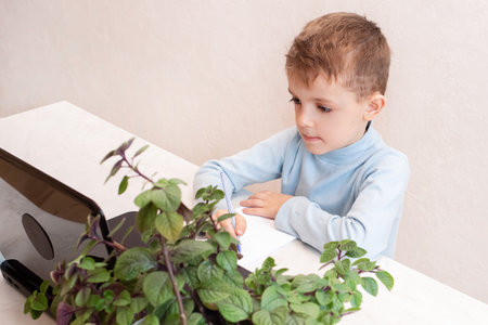 Little boy in a virtual classroom. School at home. little cute boy takes an online lesson. the child studies at home. concept of safe online education.の写真素材
