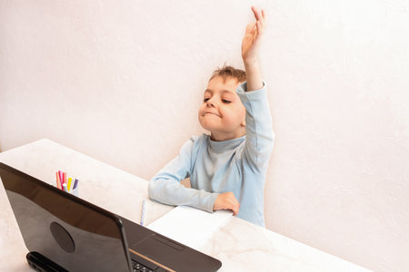 cute boy rejoices at the start of an online lesson. lectures for children in an online school. children's online education.の写真素材