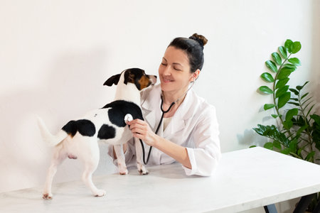 happy female veterinarian rejoices at the dog's recovery. doctor examines a dog with a stethoscope,...