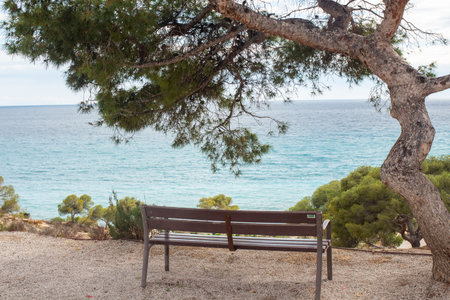 A wooden bench sits under a tree, providing a perfect spot for relaxation and contemplation. The tranquil ocean waves and serene landscape of Spain create a peaceful atmosphere.の写真素材