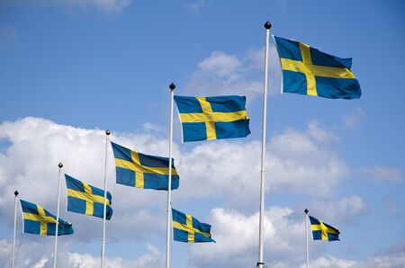 Swedish flagsの写真素材