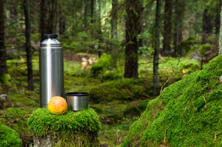 Thermos and apple in deep forestの写真素材