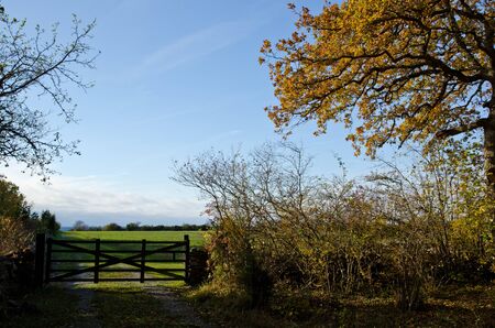 Gate at road to coastの写真素材