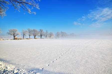 Tracks into the mist