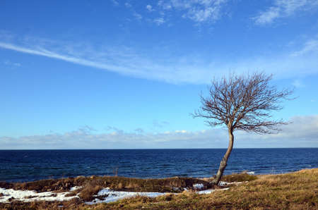 The last snow at coastの写真素材