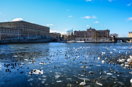 Waterfowl and icefloes in front of the Royal Palace in Stockholm, Sweden at early springtime.のeditorial素材