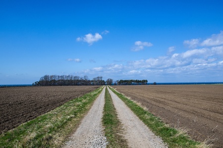 Straight dirt road to the coast  From the island Oland in Sweden 