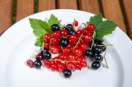 Red and black currants on a plateの写真素材