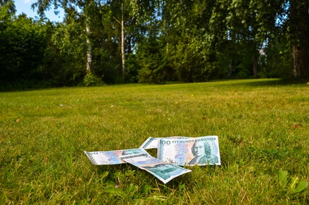 Swedish bank notes at lawn in a gardenの写真素材
