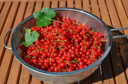 Bowl with red currants on a wooden tableの写真素材