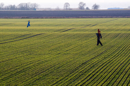 Scarecrows at a farmers field at springtime in Sweden