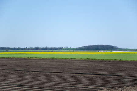 Rural landscape patterns at springtimeの写真素材