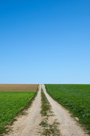Straight country road in a rural landscape at springtimeの写真素材