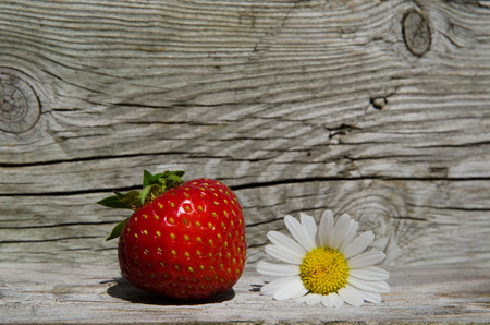 Summer symbols - strawberry and daisy at weathered wooden backgroundの写真素材