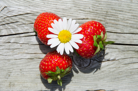 Summer objects - daisy and fresh strawberries at old weathered tableの写真素材