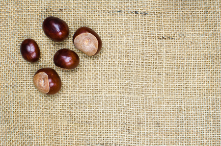 Group of unpeeled sweet chestnuts at a burlap surfaceの写真素材