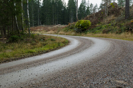 Detail of a curve at a winding gravel road in a coniferous forestの写真素材