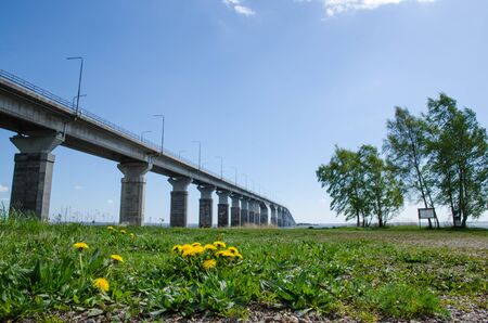 Spring  with dandelions at this low angle image of the Oland Bridge connecting the swedish island Oland with mainland Swedenの写真素材