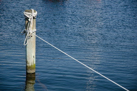 Single wooden pole with ropes in blue waterの写真素材