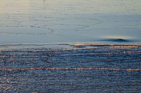 Various patterns at the surface  of a newly frozen ice