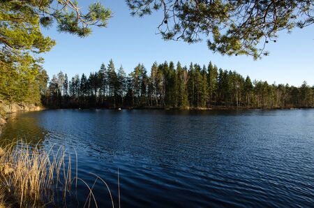 Beautiful view at a small lake in a coniferous woodland in Swedenの写真素材