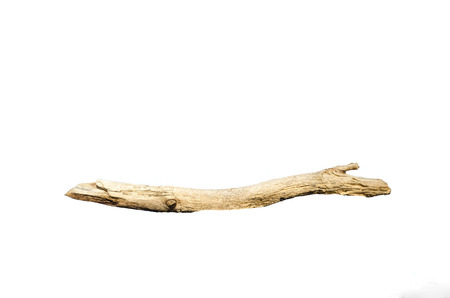 Piece of driftwood isolated on whiteの写真素材