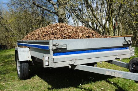 Small trailer loaded with dry leaves when the garden is cleaned up at springの写真素材